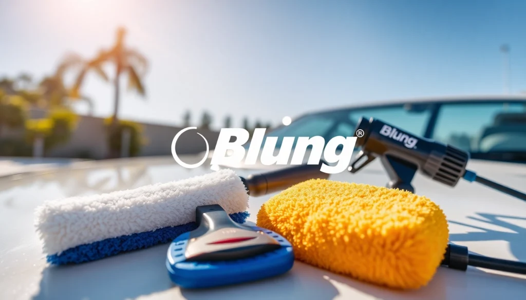 Professional cleaner using Blung branded products for boat and vehicle detailing demonstrating